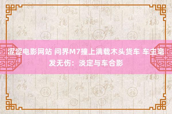 涩涩电影网站 问界M7撞上满载木头货车 车主毫发无伤：淡定与车合影