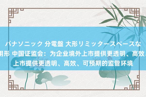 パナソニック 分電盤 大形リミッタースペースなし 露出・半埋込両用形 中国证监会：为企业境外上市提供更透明、高效、可预期的监管环境