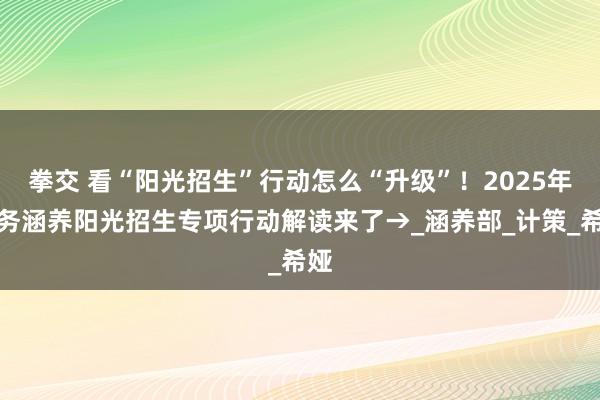 拳交 看“阳光招生”行动怎么“升级”！2025年义务涵养阳光招生专项行动解读来了→_涵养部_计策_希娅