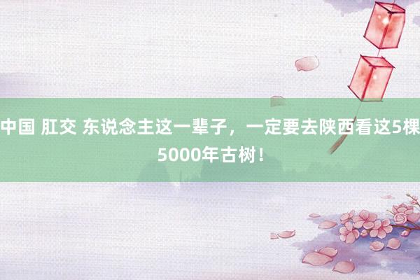 中国 肛交 东说念主这一辈子，一定要去陕西看这5棵5000年古树！