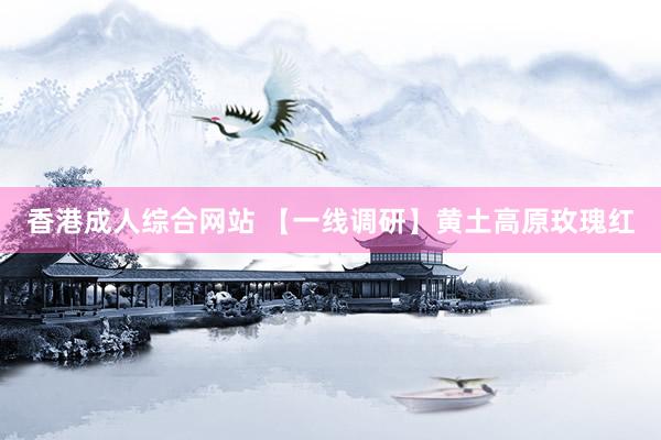 香港成人综合网站 【一线调研】黄土高原玫瑰红