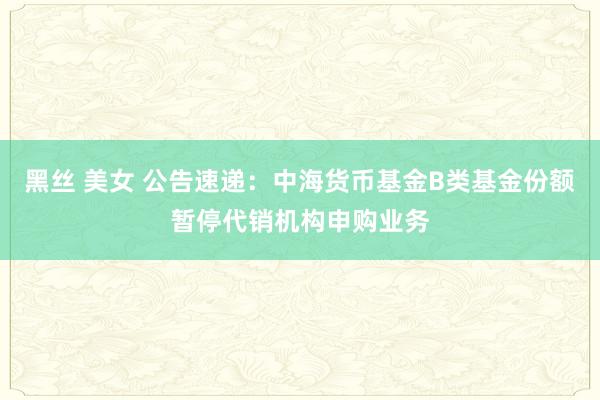 黑丝 美女 公告速递：中海货币基金B类基金份额暂停代销机构申购业务
