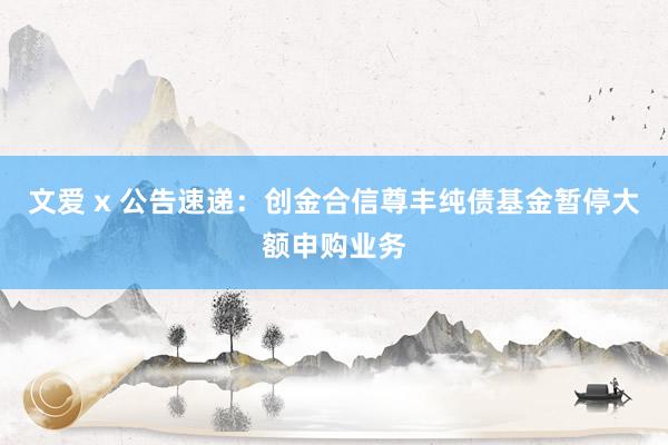 文爱 x 公告速递：创金合信尊丰纯债基金暂停大额申购业务