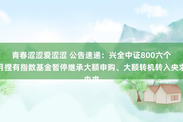 青春涩涩爱涩涩 公告速递：兴全中证800六个月捏有指数基金暂停继承大额申购、大额转机转入央求