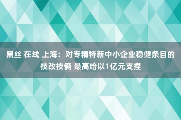 黑丝 在线 上海：对专精特新中小企业稳健条目的技改技俩 最高给以1亿元支捏