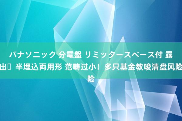 パナソニック 分電盤 リミッタースペース付 露出・半埋込両用形 范畴过小！多只基金教唆清盘风险