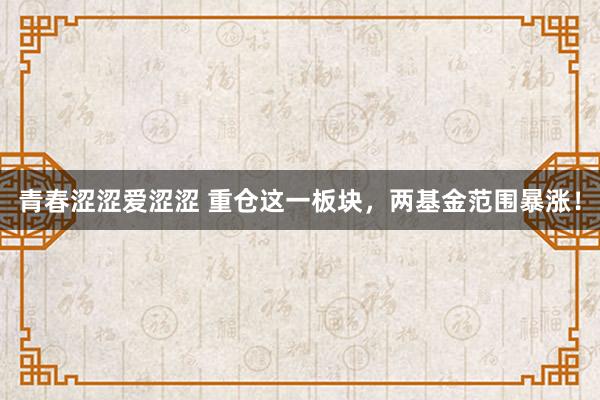 青春涩涩爱涩涩 重仓这一板块，两基金范围暴涨！
