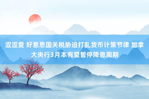涩涩爱 好意思国关税胁迫打乱货币计策节律 加拿大央行3月本有望暂停降息周期
