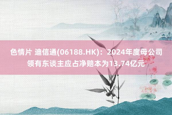 色情片 迪信通(06188.HK)：2024年度母公司领有东谈主应占净赔本为13.74亿元