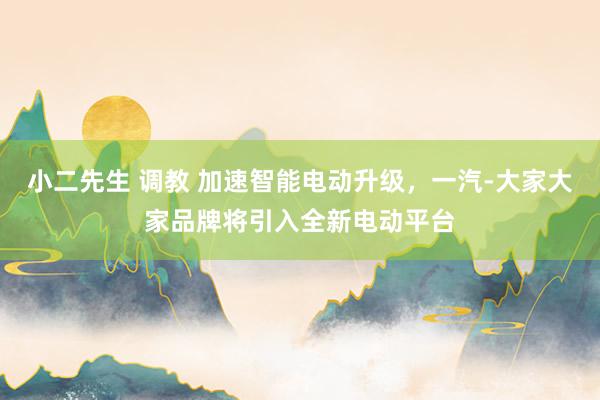 小二先生 调教 加速智能电动升级，一汽-大家大家品牌将引入全新电动平台