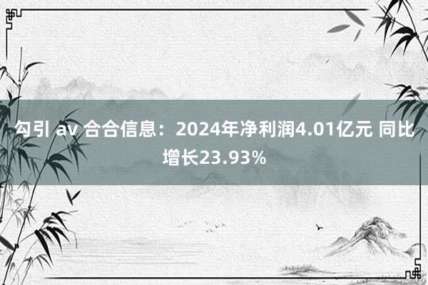勾引 av 合合信息：2024年净利润4.01亿元 同比增长23.93%