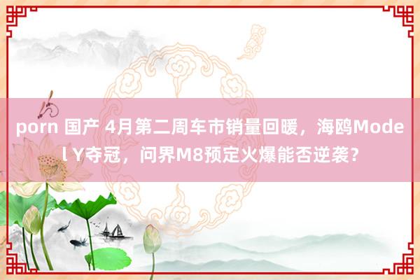 porn 国产 4月第二周车市销量回暖，海鸥Model Y夺冠，问界M8预定火爆能否逆袭？