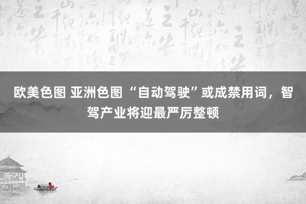 欧美色图 亚洲色图 “自动驾驶”或成禁用词，智驾产业将迎最严厉整顿