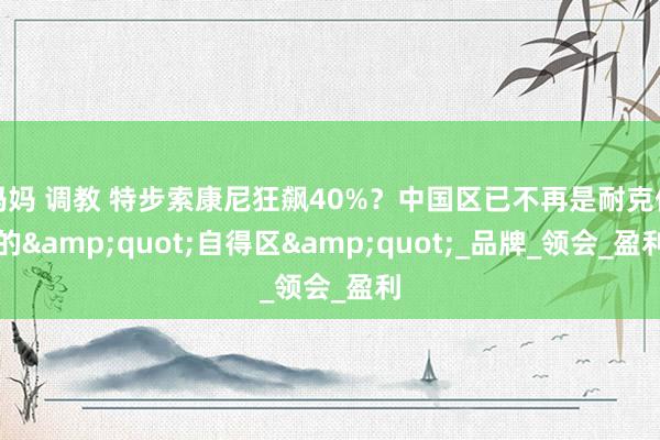 妈妈 调教 特步索康尼狂飙40%？中国区已不再是耐克们的&quot;自得区&quot;_品牌_领会_盈利