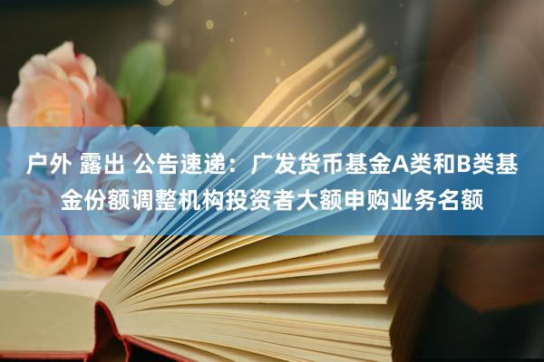 户外 露出 公告速递：广发货币基金A类和B类基金份额调整机构投资者大额申购业务名额