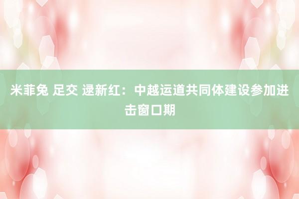 米菲兔 足交 逯新红：中越运道共同体建设参加进击窗口期