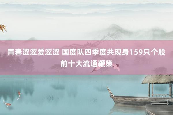 青春涩涩爱涩涩 国度队四季度共现身159只个股前十大流通鞭策