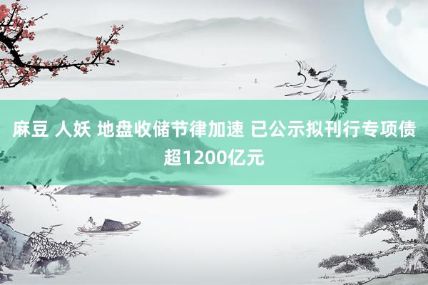 麻豆 人妖 地盘收储节律加速 已公示拟刊行专项债超1200亿元