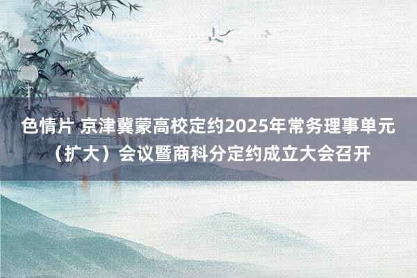色情片 京津冀蒙高校定约2025年常务理事单元（扩大）会议暨商科分定约成立大会召开