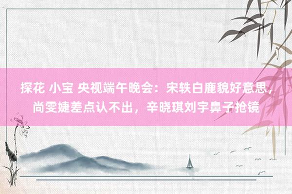 探花 小宝 央视端午晚会：宋轶白鹿貌好意思，尚雯婕差点认不出，辛晓琪刘宇鼻子抢镜